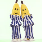 B1 and B2.