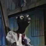 Rattus P. Rattus.