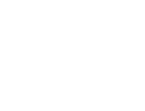 Screen_Blog_logo_final